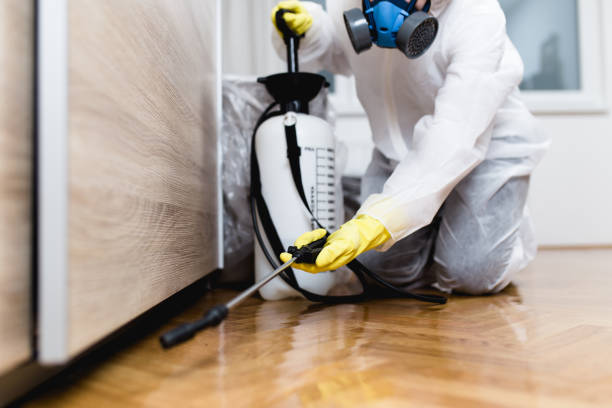 Best Pest Prevention Services  in Slaughterville, OK