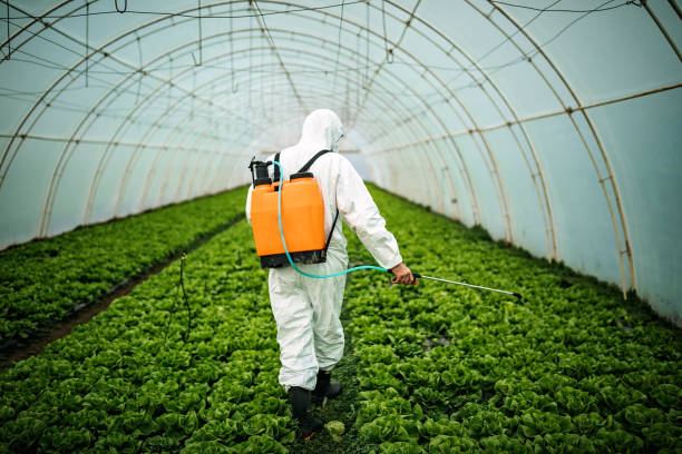 Best Pest Control Near Me  in Slaughterville, OK