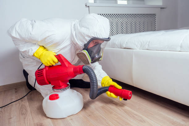 Best Insect Control  in Slaughterville, OK