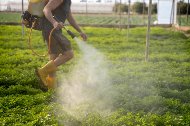 Best Pest Control Near Me  in Slaughterville, OK