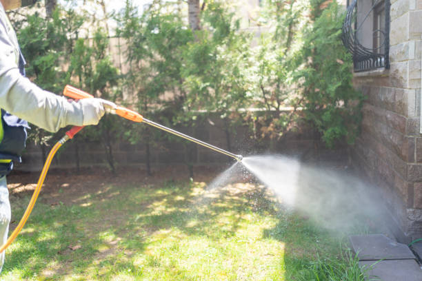 Best Emergency Pest Control  in Slaughterville, OK