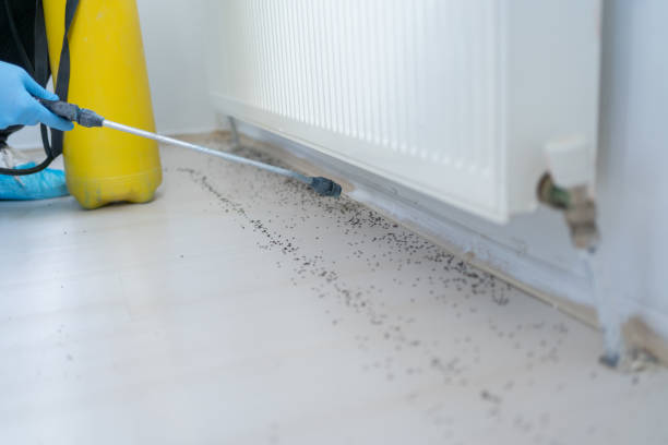 Best Exterminator Services  in Slaughterville, OK